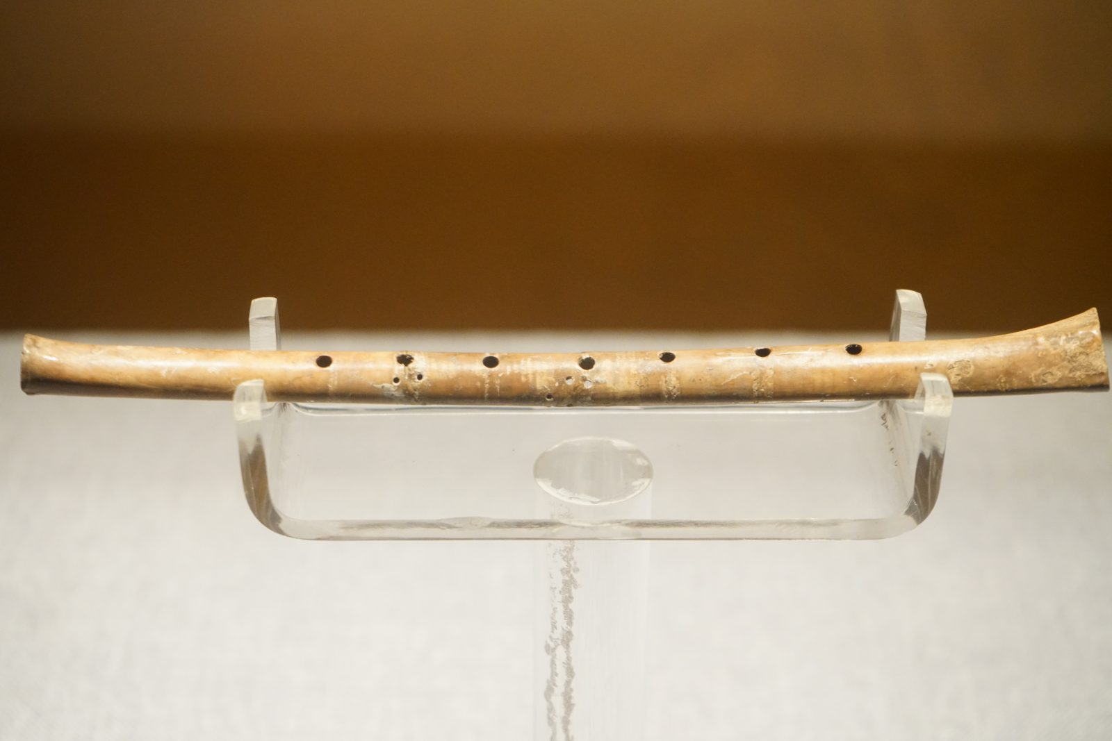 antichi strumenti musicali a corde