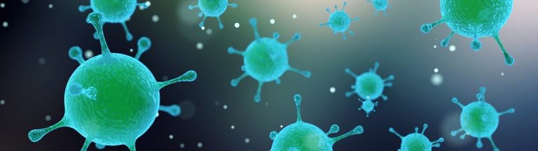 virus sputnick mamavirus
