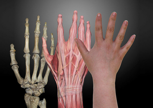 Artisti di laboratorio