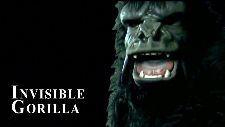 cecità cognitiva gorilla fra noi