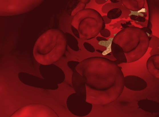 Verso la terapia genica per la talassemia