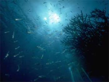 Arriva il censimento del mare