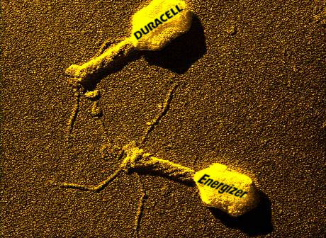 Virus da batterie