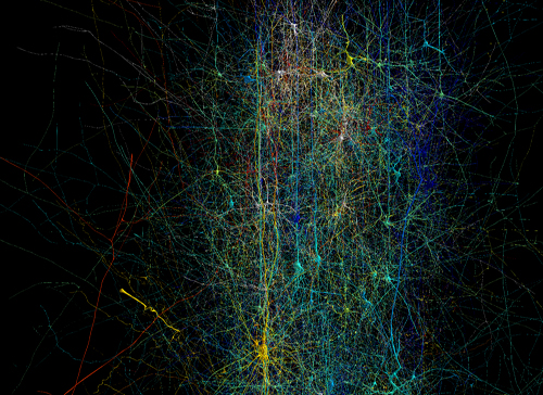 Neuroni sintonizzati