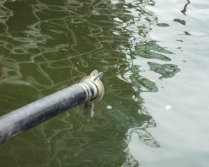 Cocktail di farmaci, un rischio per la natura