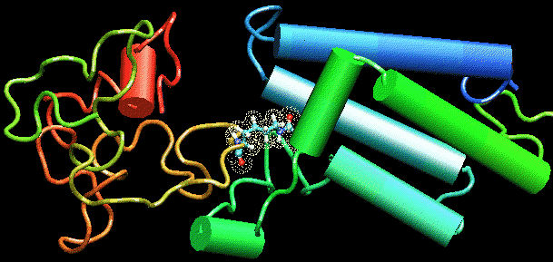 Tat, la via italiana contro l’Hiv