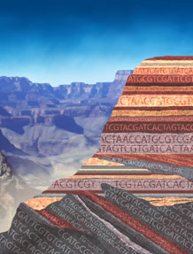 Un “genoma collettivo” di 3 miliardi di anni