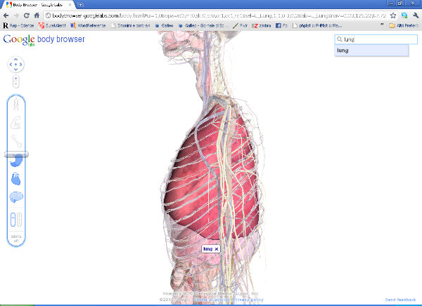 Arriva Google’s Anatomy