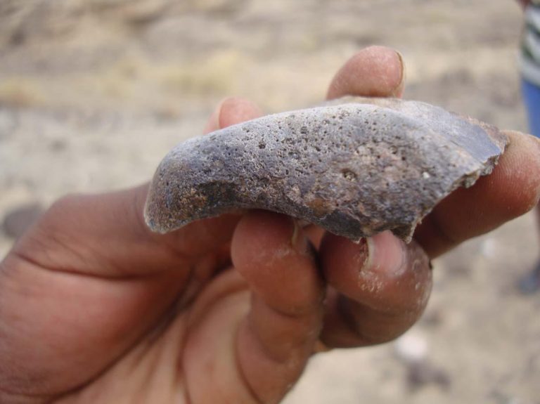 Nuovi fossili per Homo erectus