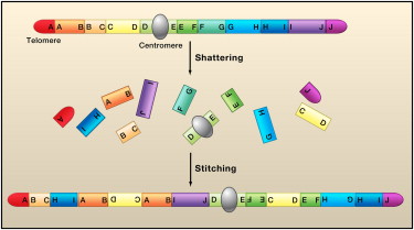 Cromosomi che esplodono