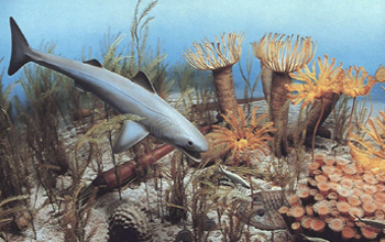 Perdita di habitat e specie invasive portano all’estinzione di massa