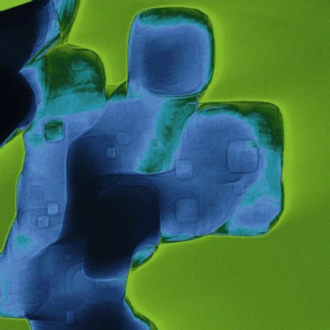 Immagini dal nanomondo