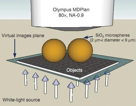 Microscopi a caccia di virus