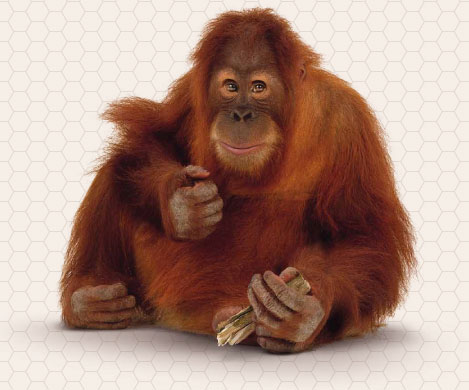 Poco sesso, siamo umani