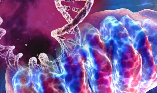 Un embrione, tre genitori