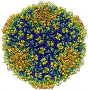 Una nuova finestra sul nanomondo