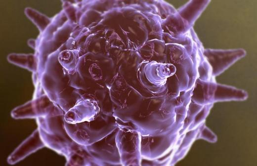 La proteina “ponte” tra Hpv e cancro