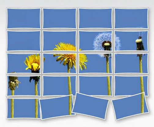 Files a tempo, per non lasciare tracce sul web