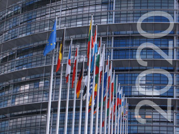 Trapianti di fegato, l’Italia fa scuola all’Egitto