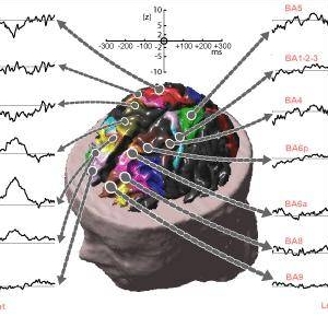 L’attività del cervello? Si misura con il cronometro