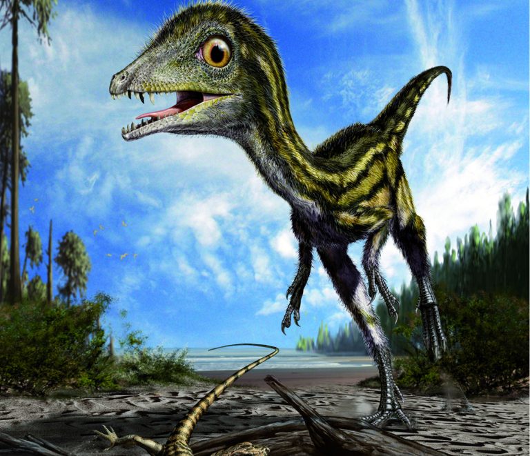 Ciro, autopsia di un baby dinosauro italiano