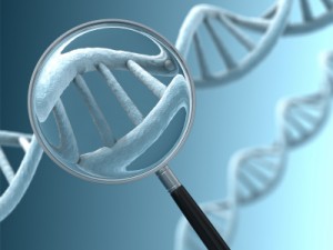 Autismo, scoperte nuove mutazioni genetiche