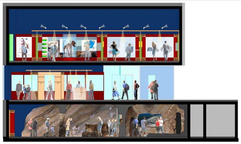 L’Ursus ladinicus trova casa