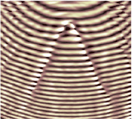 Mulinelli di luce: ecco i solitoni