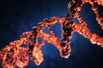 Come spezzare il Dna del tumore