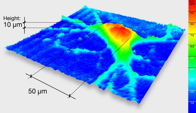 Ologramma di un neurone