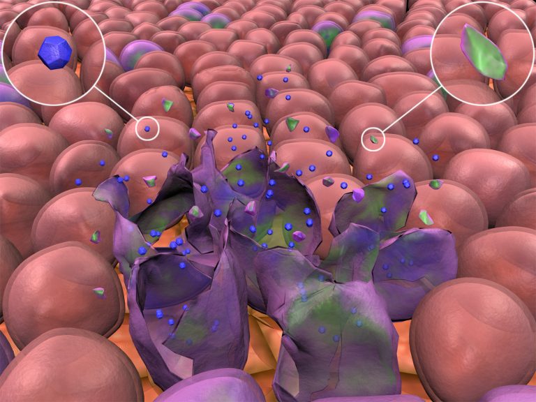 Verso un vaccino contro il cancro