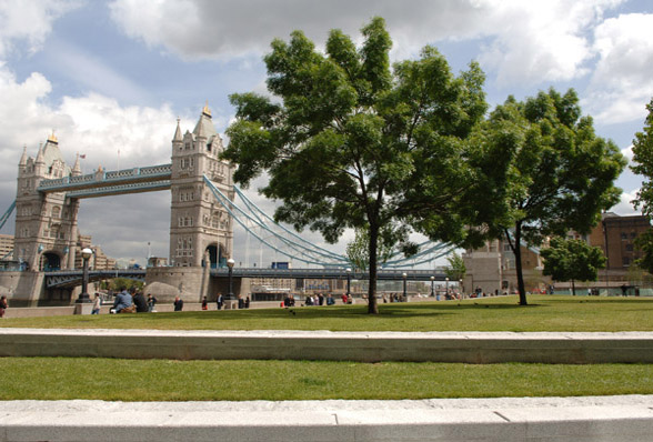 Alberi antismog a Londra