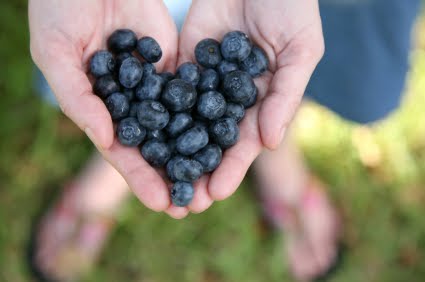 Se quello che mangiamo fa bene al cuore