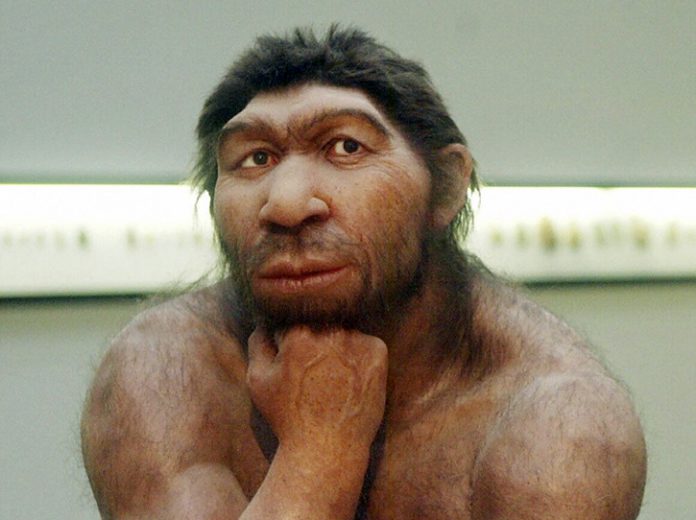 evoluzione homo sapiens