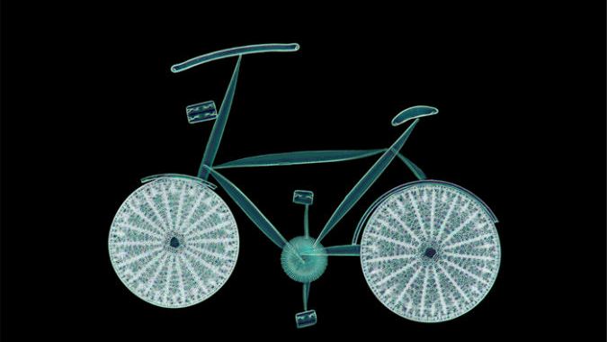 Il fascino dell’infinitamente piccolo