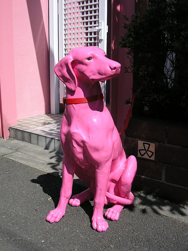 Un milione per il Google del futuro