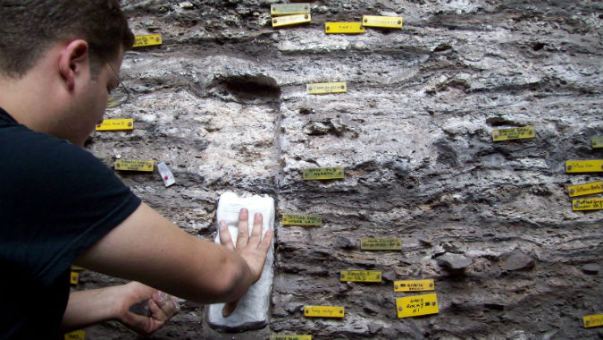 Materassi (antiacaro) di 70.000 anni fa