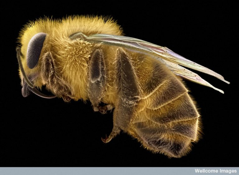 I migliori multimedia del 2011