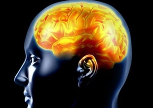 La proteina che aiuta la memoria