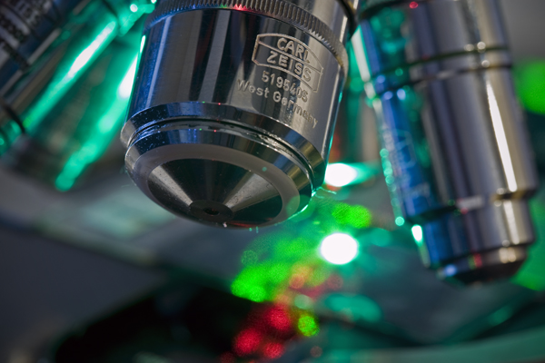 La peggiore scienza del 2011