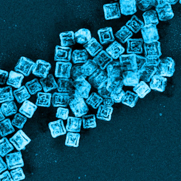 Come si piega un nanotubo