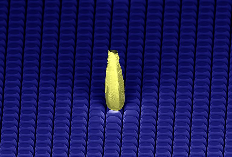 Ecco il materiale perfetto