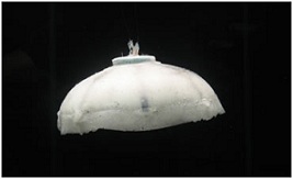 RoboJelly, il robot-medusa va che ad acqua