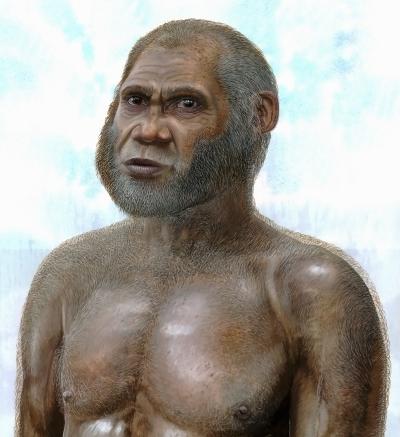 Ominidi, forse c’è una nuova specie