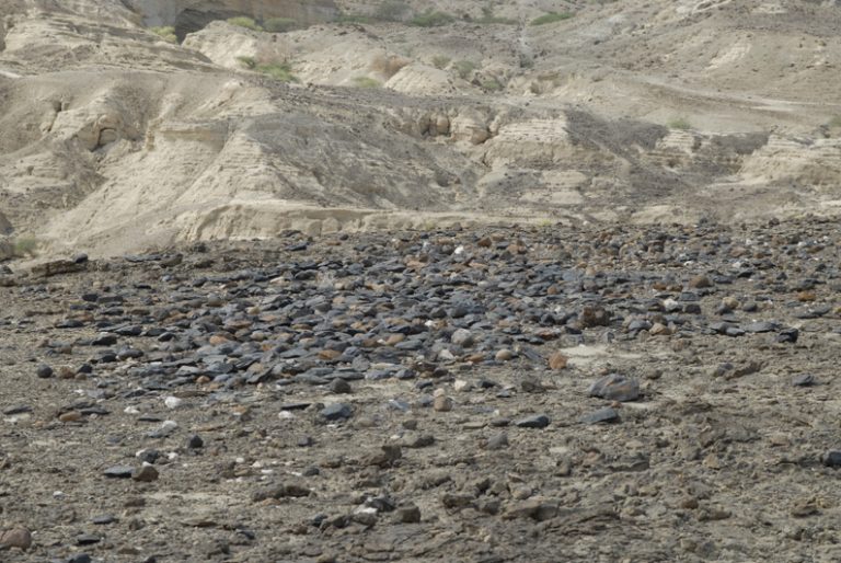 Ecco il Santuario delle amigdale