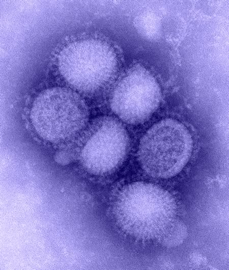 La mutazione che favorisce l’influenza