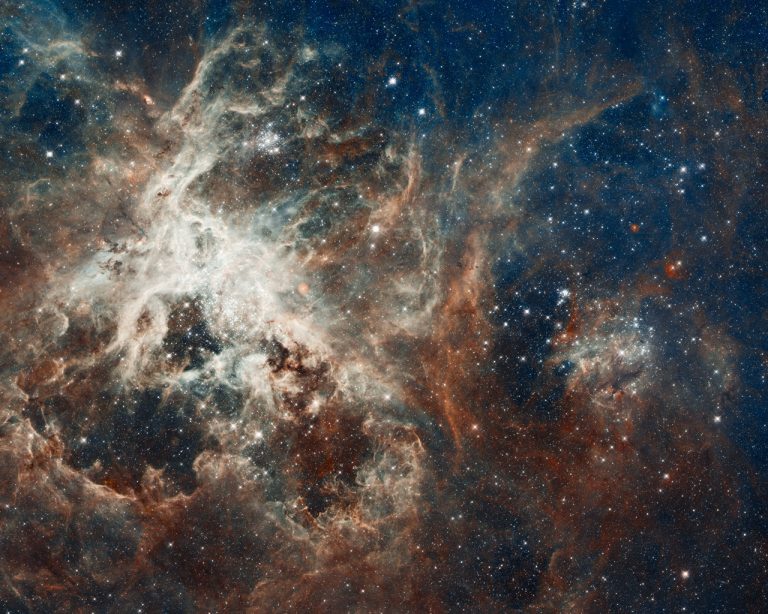 Tutte le stelle della Tarantola