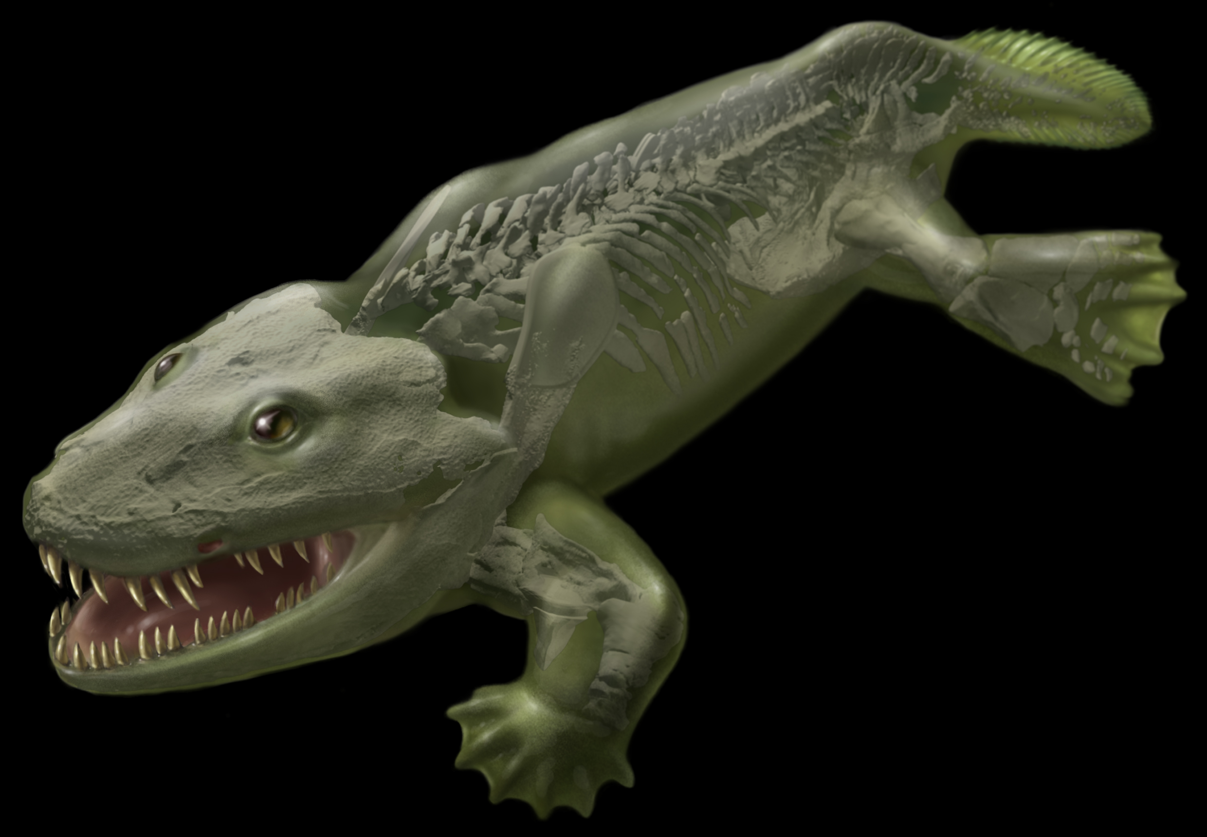 Первые наземные земноводные. Ихтиостега Девонский период. Динозавр ихтиостега. Амфибии ихтиостеги. АКАНТОСТЕГА И ихтиостега.