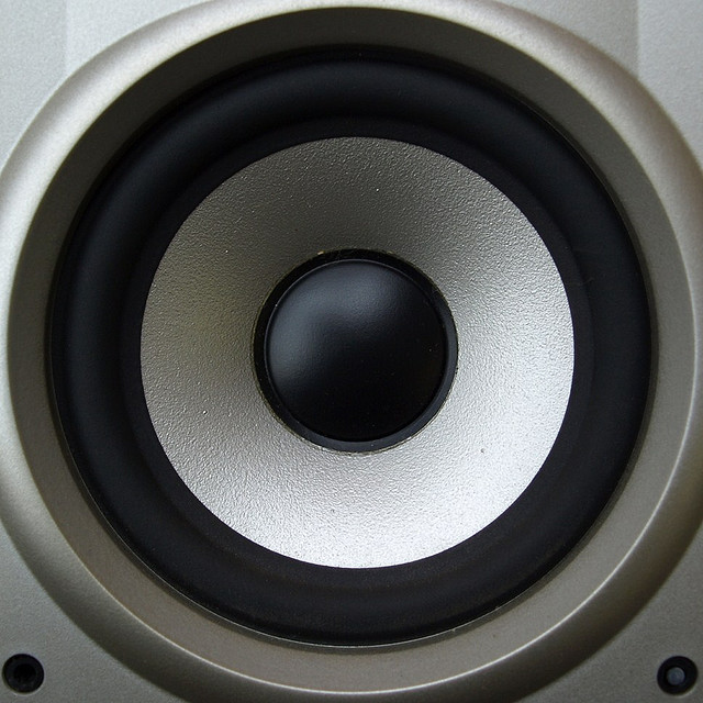 Gli altoparlanti? Me li stampo