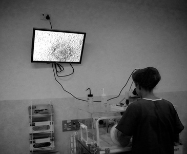 Fecondazione eterologa, la Consulta non decide